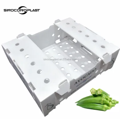 Coroplast Okra Packing Box