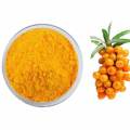 Sea Buckthorn Berry Powder Nutritional Benefits