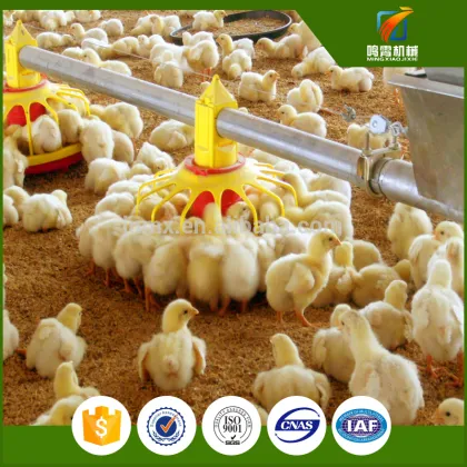 Factory Full automatic systems poultry control shed farm equipments