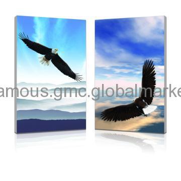 Eagle Picture Watercolor Paintings Manufacturer