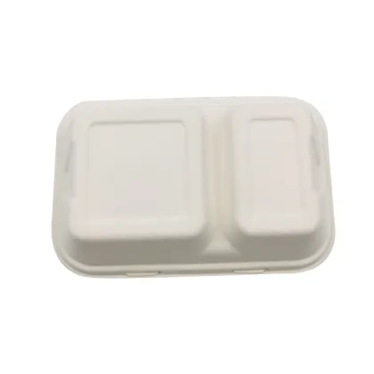 Biodegradable Pulp Disposable 9x6'' 2 cpt Food Container