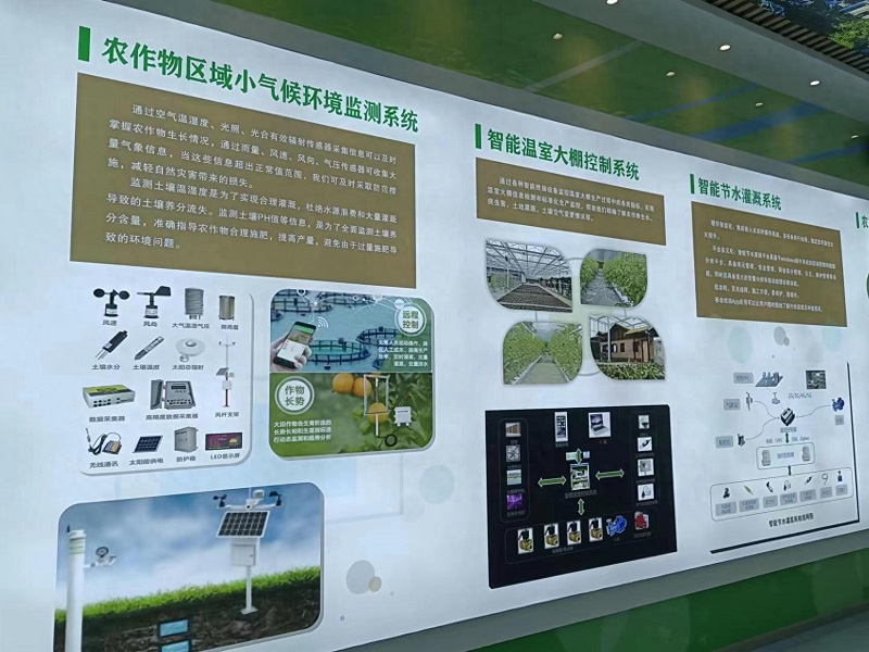 Qingcheng Agriculture has landed the Zhongxian Glass Greenhouse Project, showcasing a new landscape of modern agriculture with smart facilities