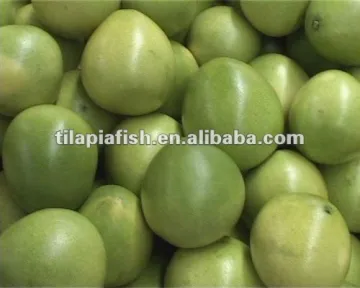 chinese pomelo