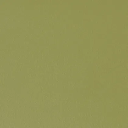 PVC Blister Film for Blister Door Panels