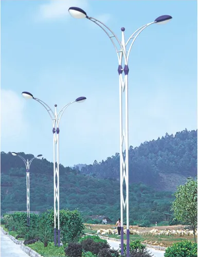 Hot Dip Galvanized Powder Coating Street Lamp