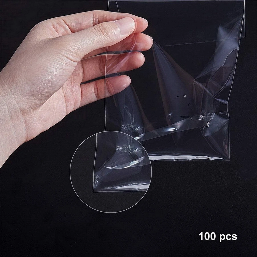 Transparent Pouch Plastic Packaging Food Poly Bag