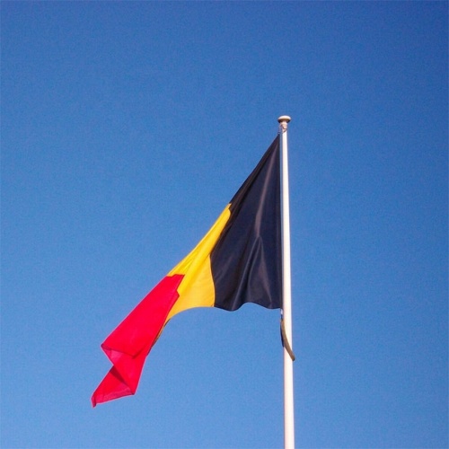 Hot Selling New Design Good Standard Belgian Flag