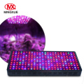 /msite/products/detail/productid/57024678/id/666378.html