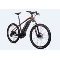 Cube E Mountain Bike LiXa