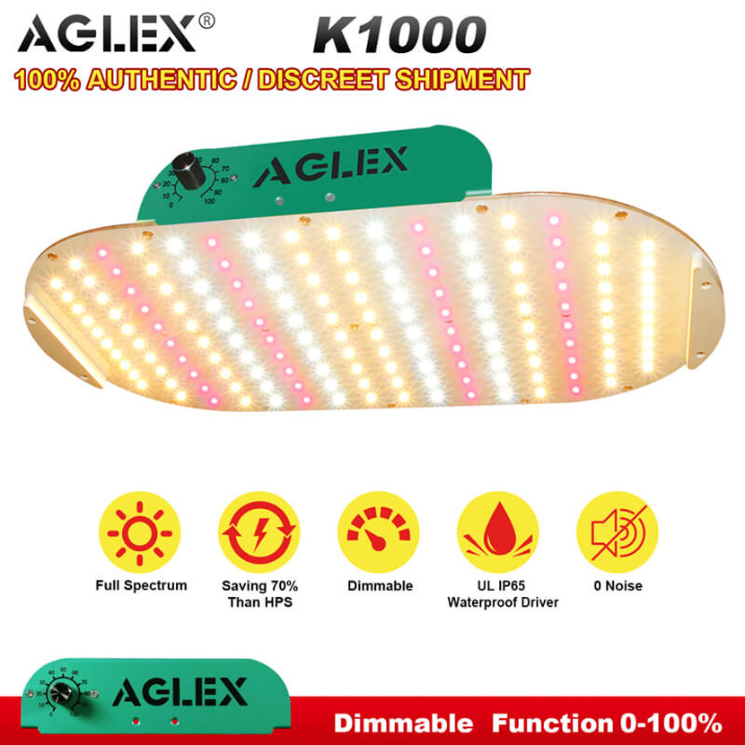 High Bright 1000w Double Ended Grow Light