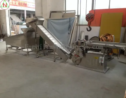 Conveyor Belt Machine: Belt Conveyor Systems & Solutions