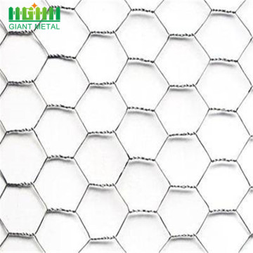 Hot-sale Woven Bird Cage Hexagonal Wire Mesh Fence