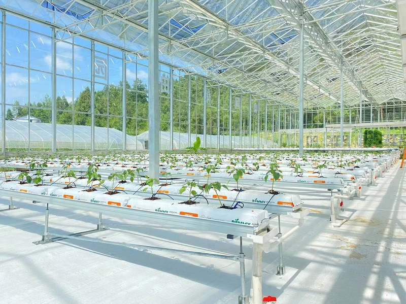 Qingcheng Agriculture's Crafted Pengshui Glass Greenhouse Project: Soilless Cultivation Industrial Park Launched and Operational
