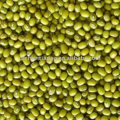 mung bean