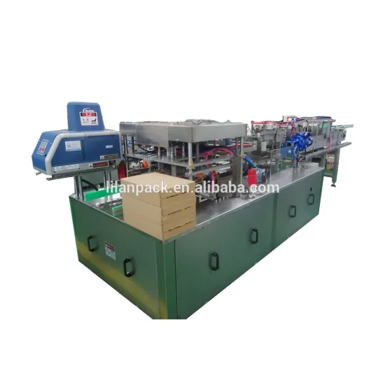 Automatic Cardboard Packing Wrapping Case Packer Machine for Tin Cans