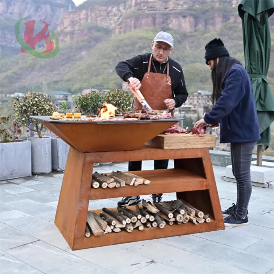 Best Camping Barbecue Grills: Gas Grill Options for Outdoor Cooking