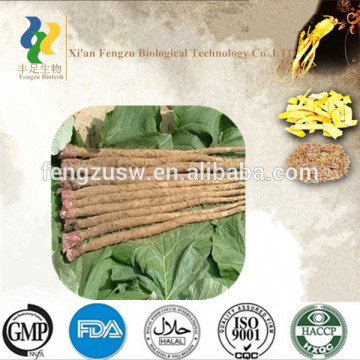 Organic natural fresh Burdock,Burdock Root,Burdock Root Extract 10%~40%