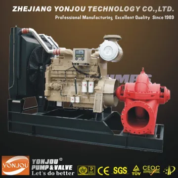 Diesel Engine Pump (Trailer Pump / Fram Irrigation / Municipal Wastewater Pump)