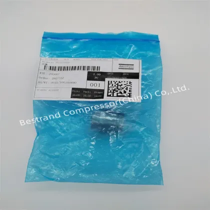 Atlas Copco Air Compressors Spare Parts - 1613235900