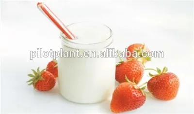 lab spray drying service machine for milk