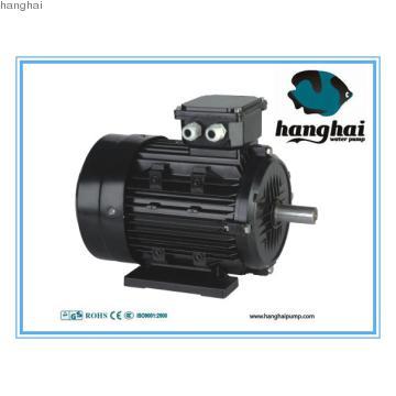 Y2 -100 series induction motor