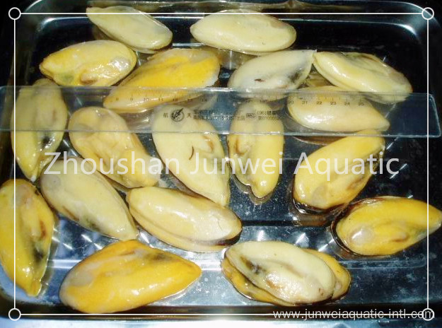 fresh frozen mussel for sale