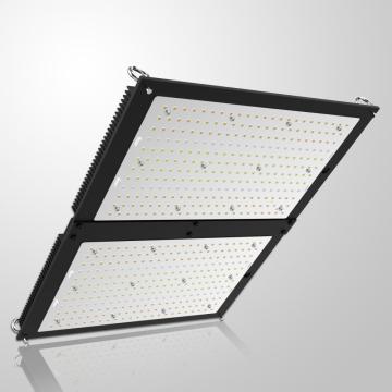 PHLIZON 200W LED Deska kwantowa rośnie światło