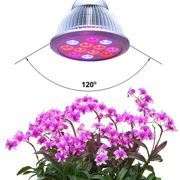 Helper Of Family Plant Light And greenhouse 12w Par LED grow light