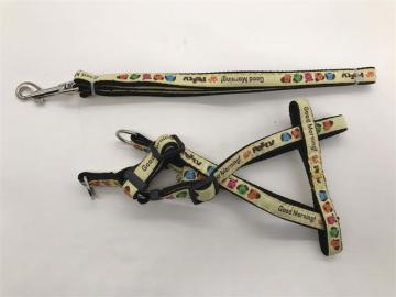 Pet Walking And Hiking and Training Adjustable Leash