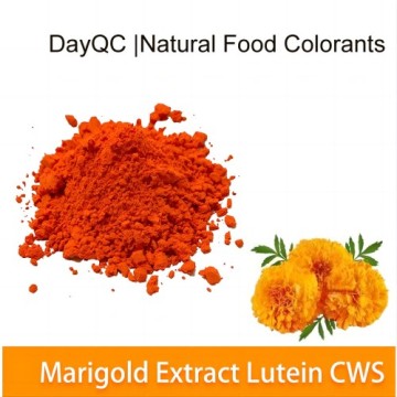 Ringelfinstextrakt Wasserlöslichkeit Lutein CWS 5%