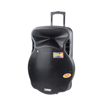 Wholesales Temeisheng 18 Inch DJ Trolley Active Portable Outdoor Audio Speaker