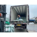Искусственная трава Газон синтетический Газон Трава для футбола