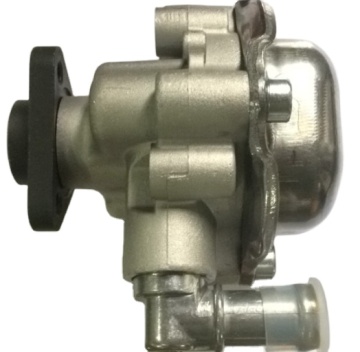 Power Steering Pump 32416760036 32416760034 32416750423 67504239 541013110