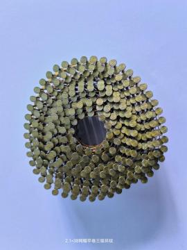 2,1*38 kleine Kappe lockige Tacks
