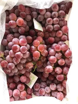 Delicious Red Grapes with Natural Sweetness
