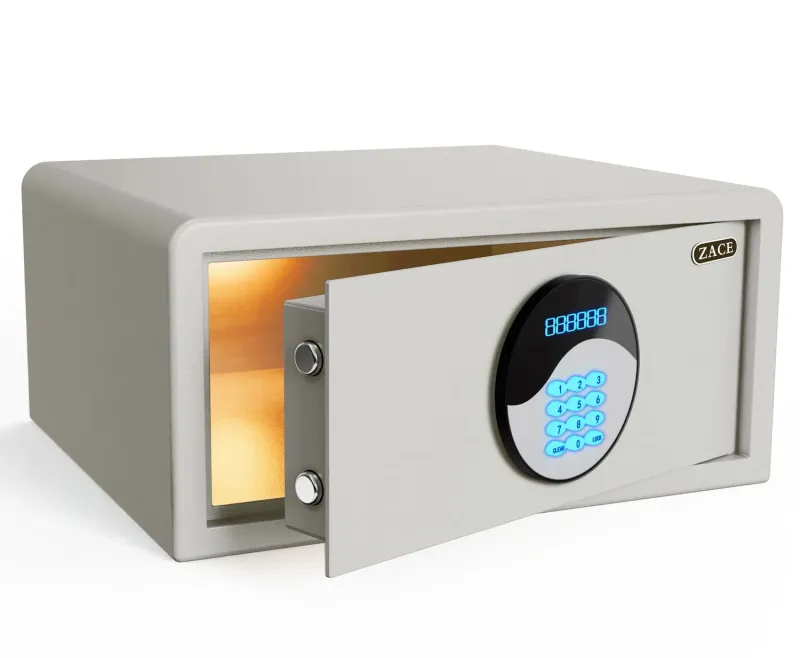 SecureVault Pro