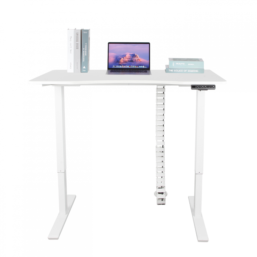 Home Furniture Computer Electric Standing Desk