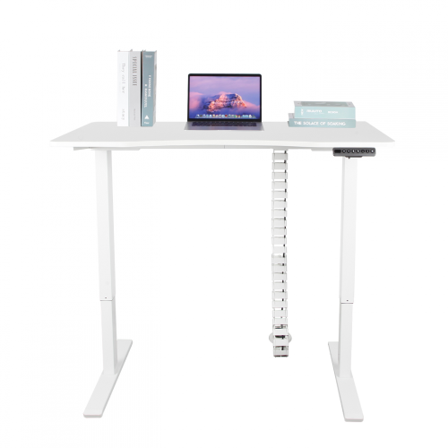 Low Noise Modern Furniture Standing Desk