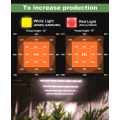 Prix ​​de gros personnalisé en usine 240W LED Grow Light