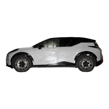 2024 Zeekr X: 428 PS elektrische SUV - Luxus 4WD/2WD Neues Energiefahrzeug