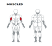 Commercial Strength Training Arms Standing Curl Bench