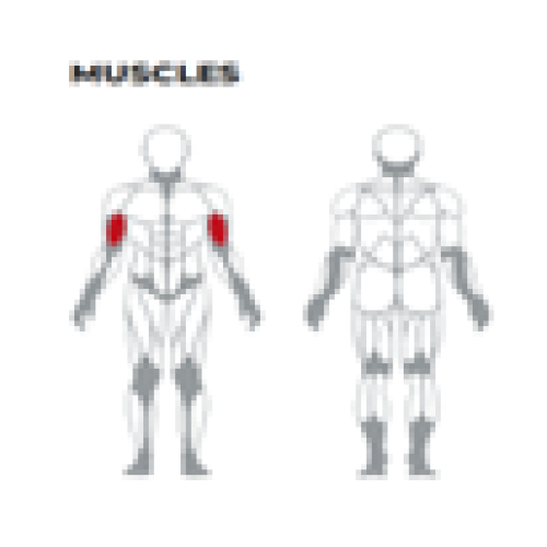 Commercial Strength Training Arms Standing Curl Bench