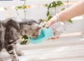المياه الصالحة للشرب الكلب الشرب موزع كوب شرب الحيوانات الأليفة البلاستيك زجاجة ماء الكلب الأليف مع حبل معلق