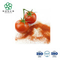 Tomate en polvo deshidratado en polvo de vegetales secos