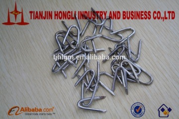 professional manufacturer of u type nails