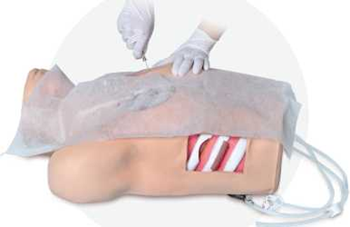 Thoracic Cavity Closed Drainage Model