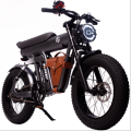 ZM21 Basic Electric Fat Bike