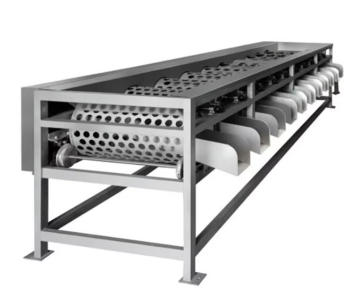 Machine de tri automatique orange: Grader rotatif pour traitement des fruits et légumes