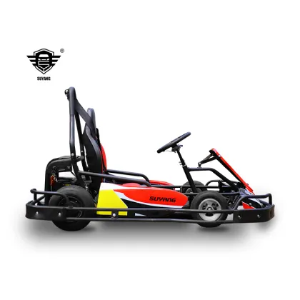 Electric Race Karting: Factory Sales Kids Go Kart 300W*2