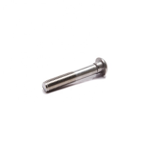 Stainless steel track bolts / tail screws